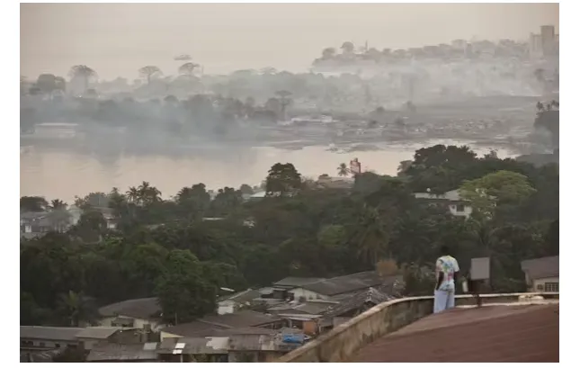 'Why Freetown's celebrated tree planting scheme won't work for other ...