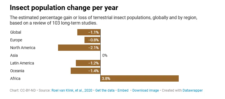 Human Killing Insect 'Humans are killing helpful insects in hundreds of ways '− simple steps ...