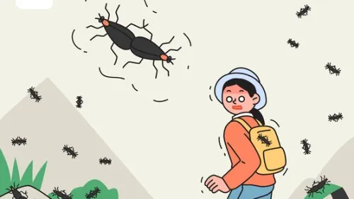 Today's Story Thumbnail