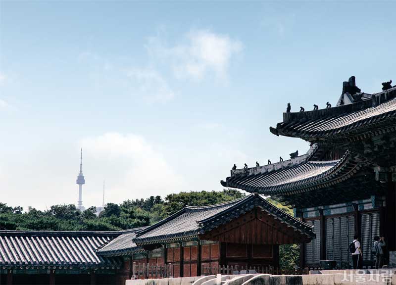 빛과 바람 사이로 계절이 흐르는 서울의 궁